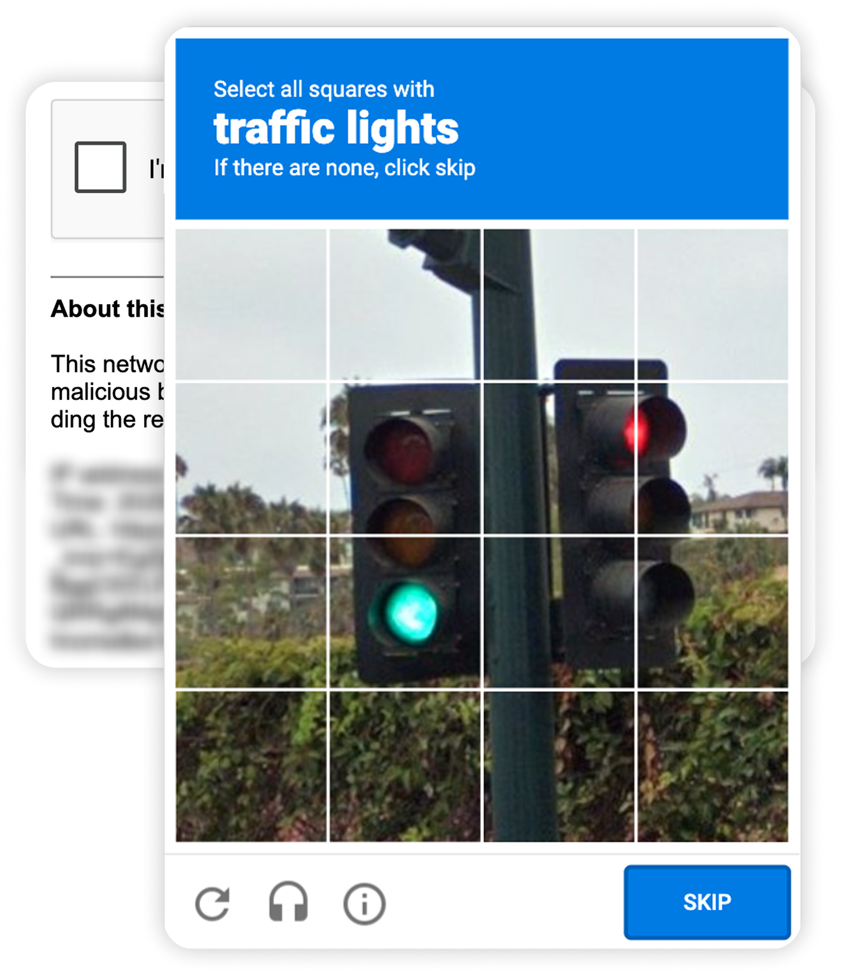 View of CAPTCHA prompt.png